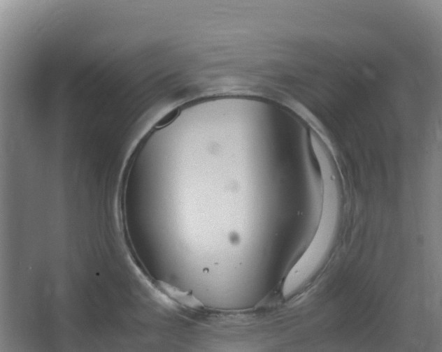 X0000067001293200604142249