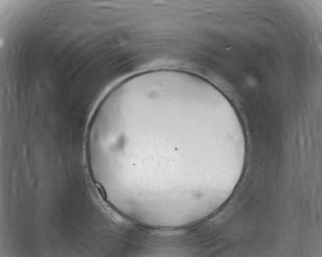 X0000067001296200604142249