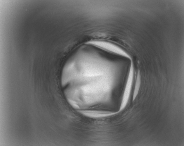 X0000067001297200604142248