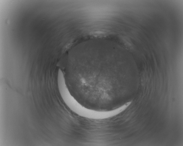 X0000067001298200604142248