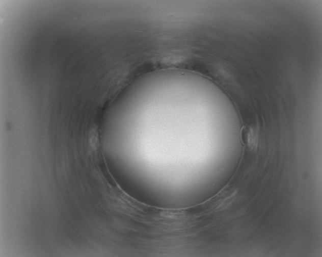 X0000067001299200604142248