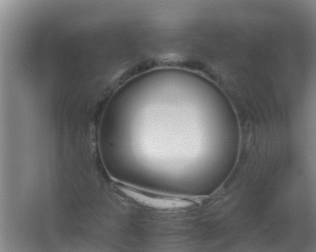 X0000067001301200604142248