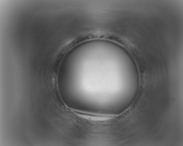 X0000067001302200604142248