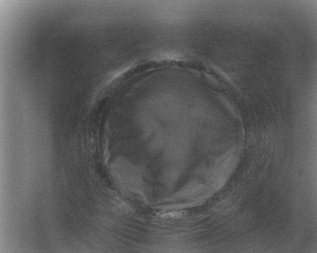 X0000067001303200604142248