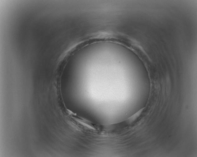 X0000067001304200604142248