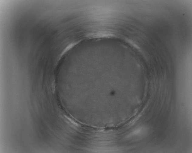 X0000067001306200604142248