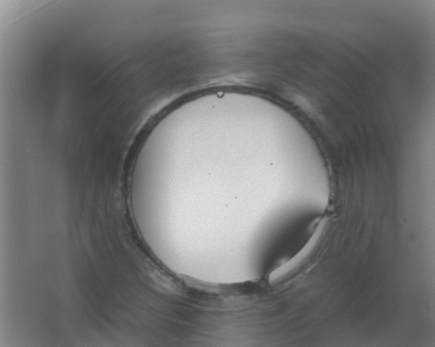 X0000067001308200604142248