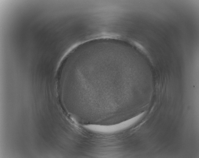 X0000067001310200604142248