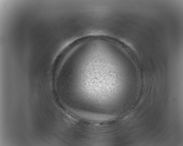 X0000067001311200604142248