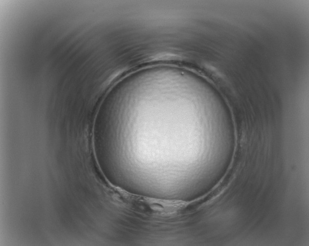 X0000067001313200604142249