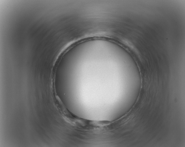 X0000067001316200604142249