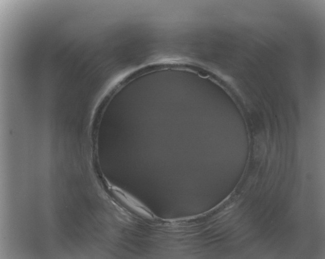 X0000067001319200604142249