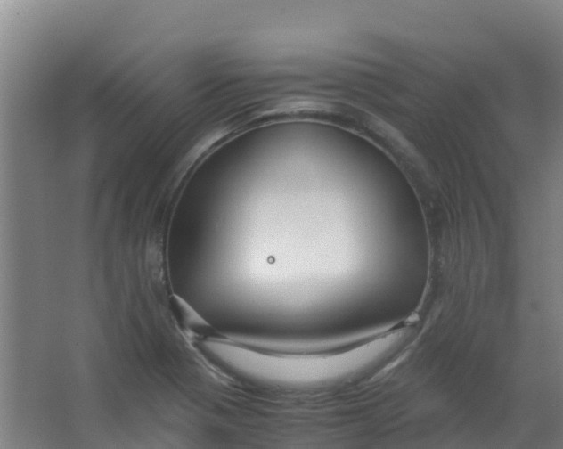 X0000067001321200604142249