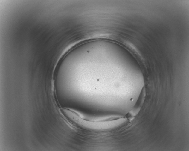 X0000067001324200604142249