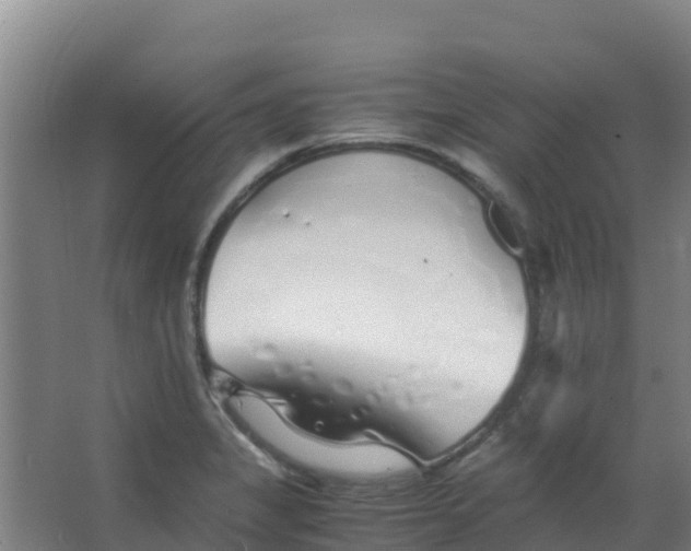 X0000067001325200604142249