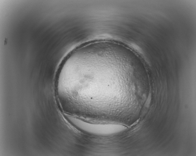 X0000067001326200604142249