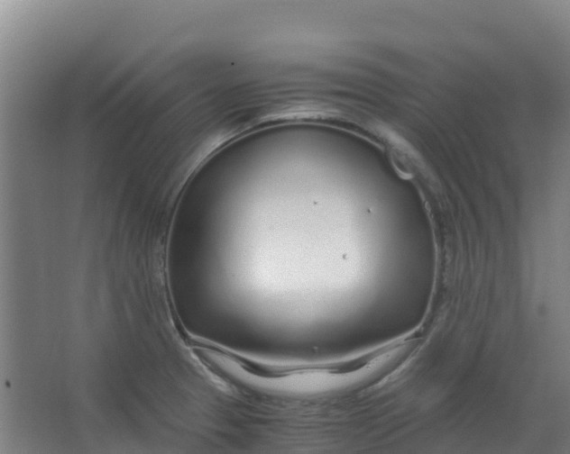 X0000067001329200604142249