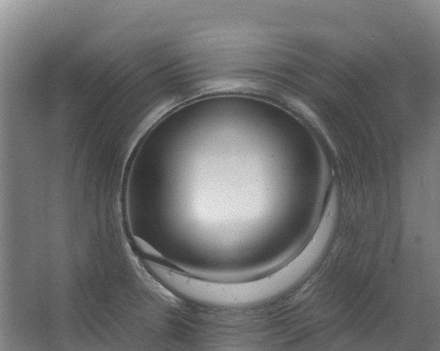 X0000067001330200604142249