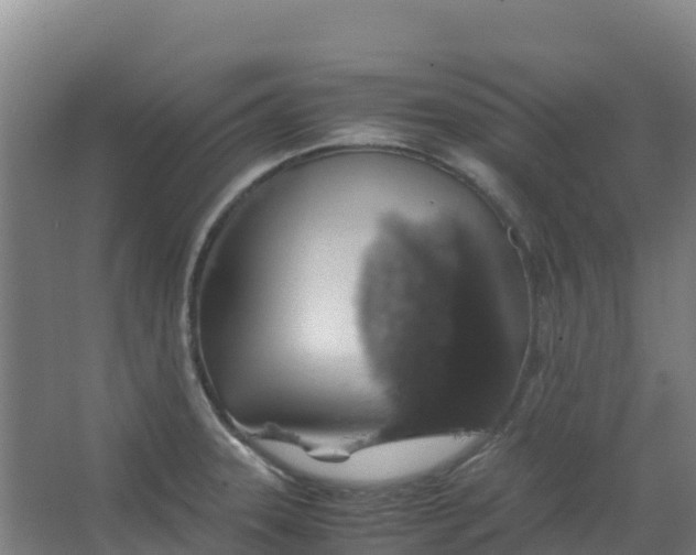 X0000067001331200604142249