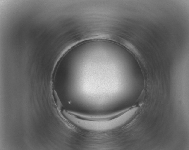 X0000067001332200604142249