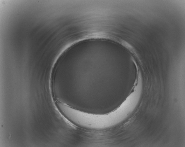 X0000067001334200604142249