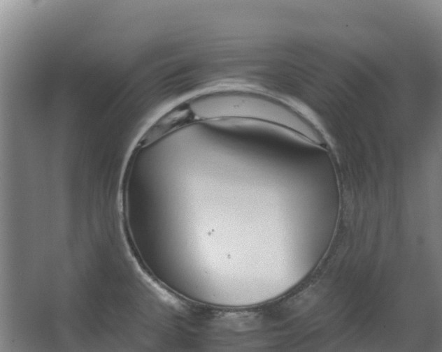 X0000067001335200604142249