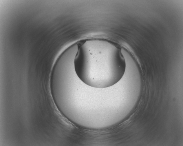 X0000067001336200604142249