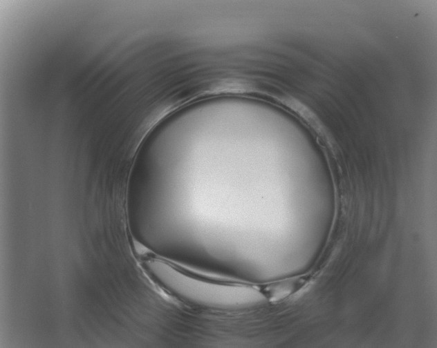 X0000067001337200604142249