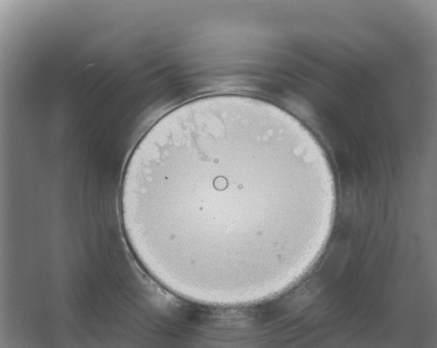 X0000067001338200604142249