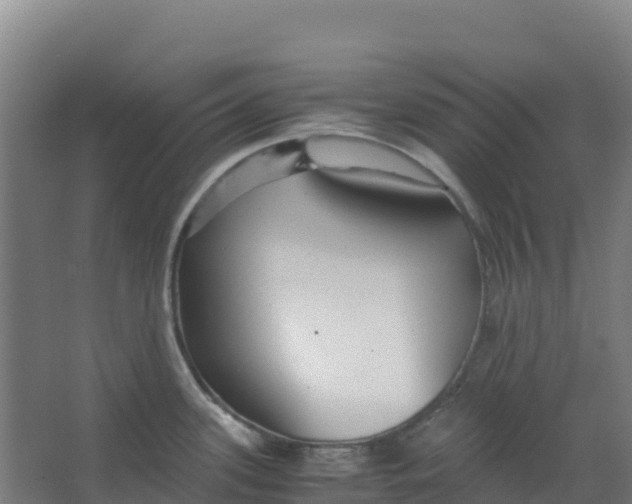 X0000067001339200604142249