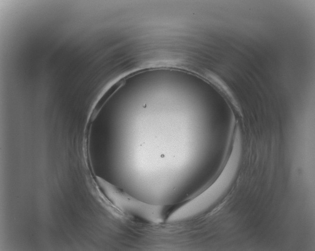 X0000067001340200604142249