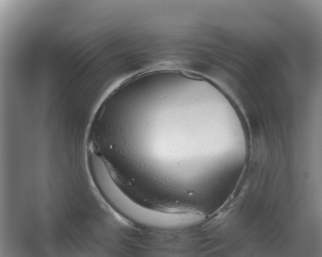 X0000067001341200604142249