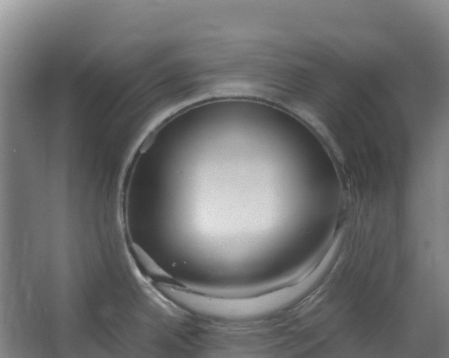 X0000067001342200604142249