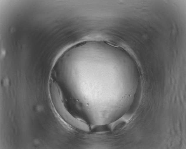 X0000067001344200604142249