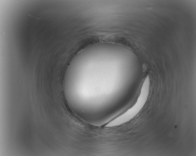 X0000067001345200604142248