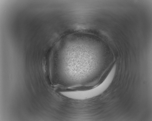 X0000067001348200604142248