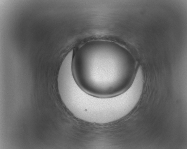 X0000067001349200604142248