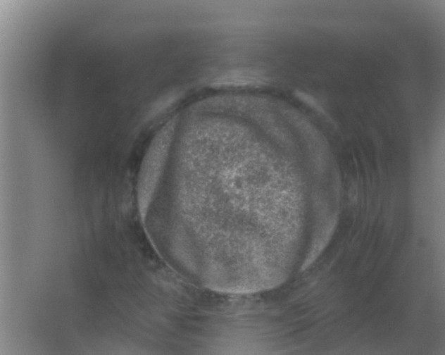 X0000067001350200604142248