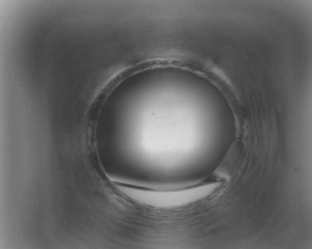 X0000067001352200604142248