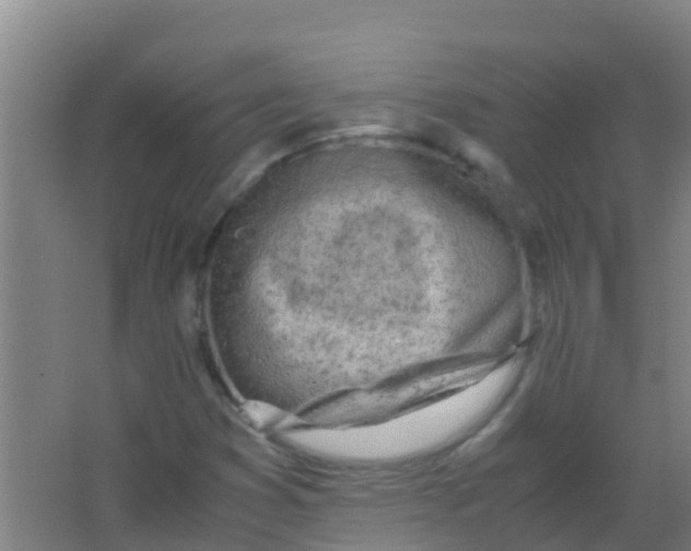 X0000067001353200604142248