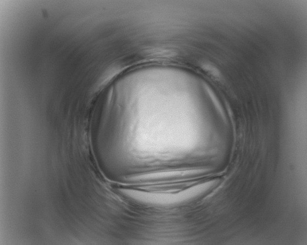 X0000067001354200604142248