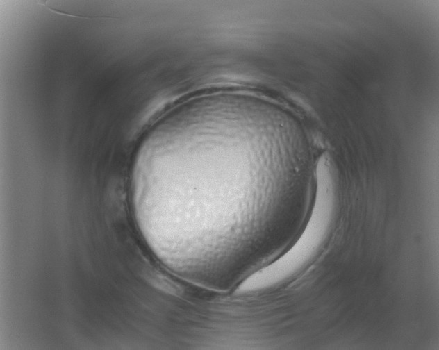 X0000067001355200604142248