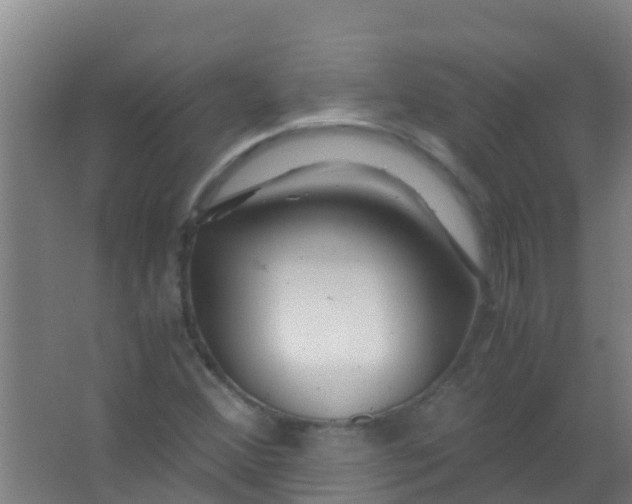 X0000067001356200604142248