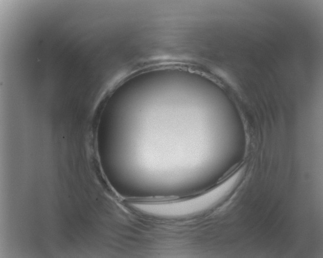 X0000067001357200604142248