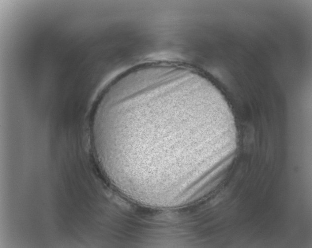 X0000067001358200604142248