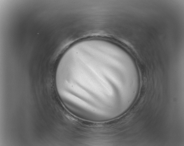 X0000067001359200604142248