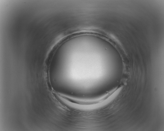 X0000067001360200604142248