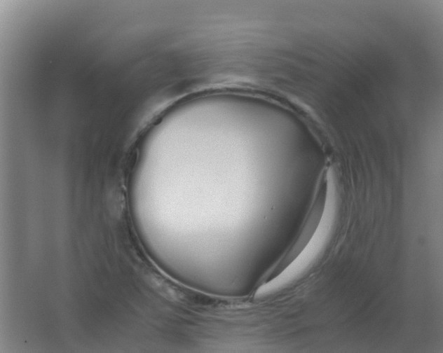 X0000067001363200604142248