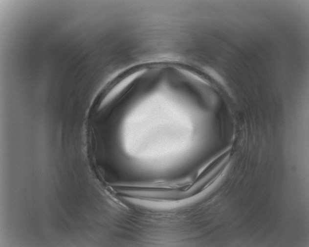 X0000067001364200604142248