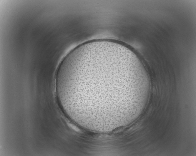 X0000067001366200604142248